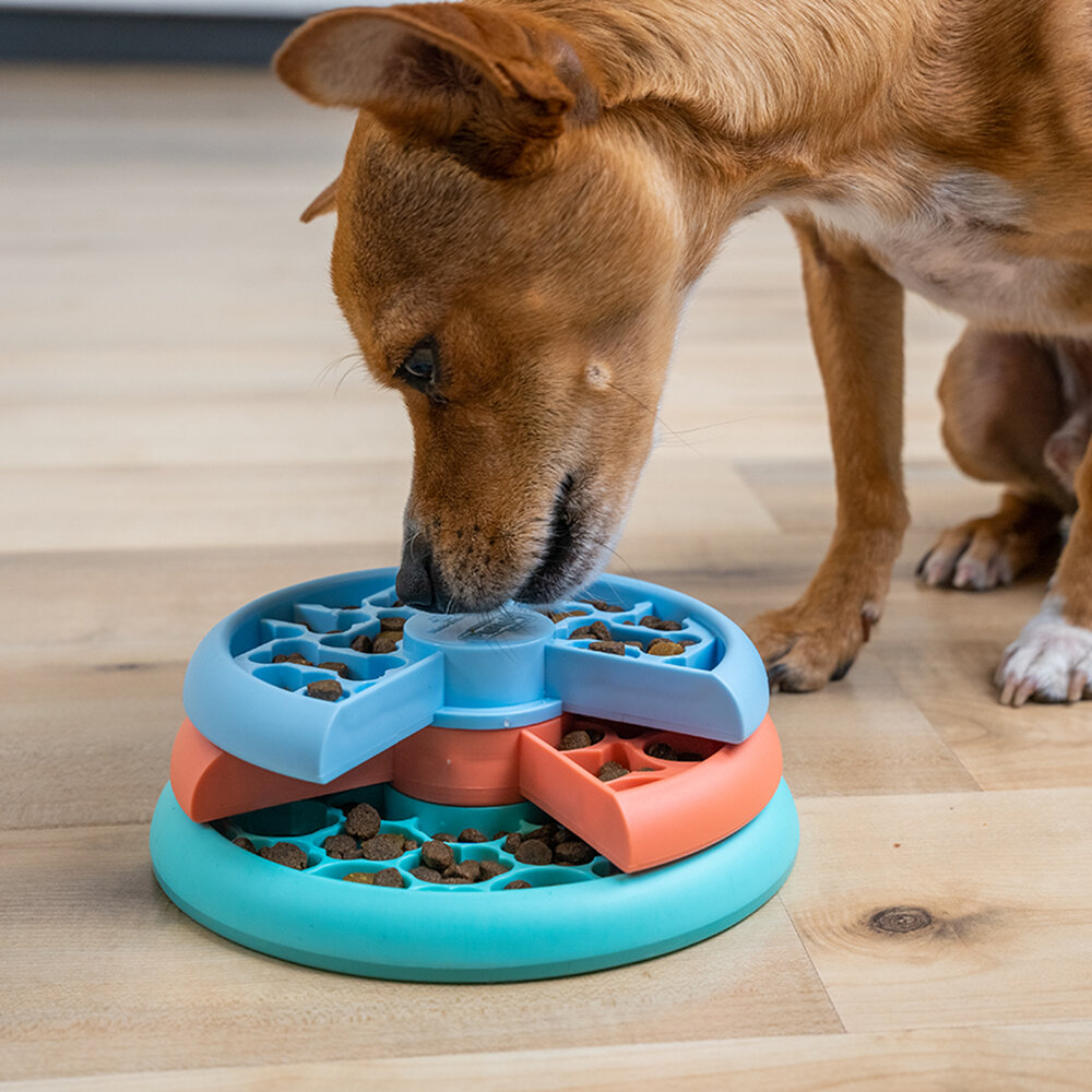 Pup die geconcentreerd aan de lagen van de Nina Ottosson Lickin Layers puzzel draait