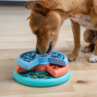 Pup die geconcentreerd aan de lagen van de Nina Ottosson Lickin Layers puzzel draait