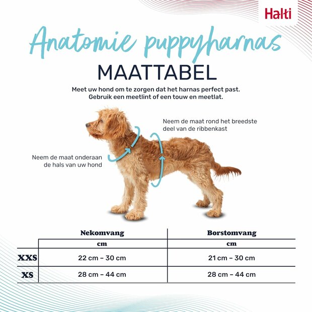 Halti Anatomy XS hondentuig voor kleine honden met 4 verstelpunten maattabel